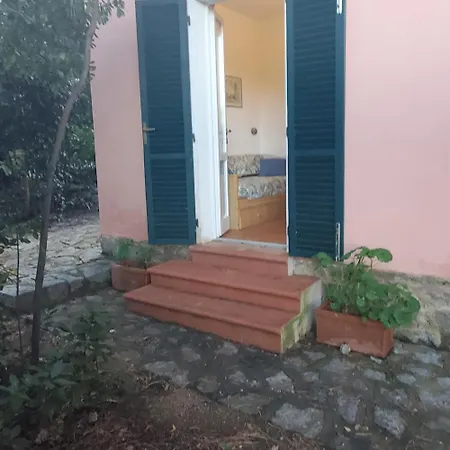 Casa Degli Ulivi דירה