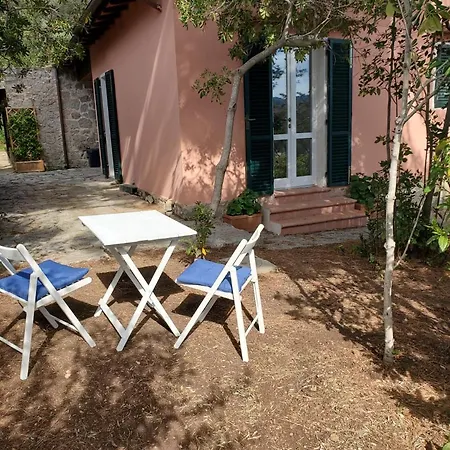 דירה Casa Degli Ulivi פרוצ'ו