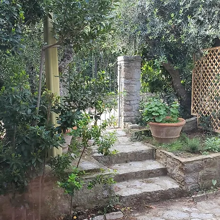 Casa Degli Ulivi דירה